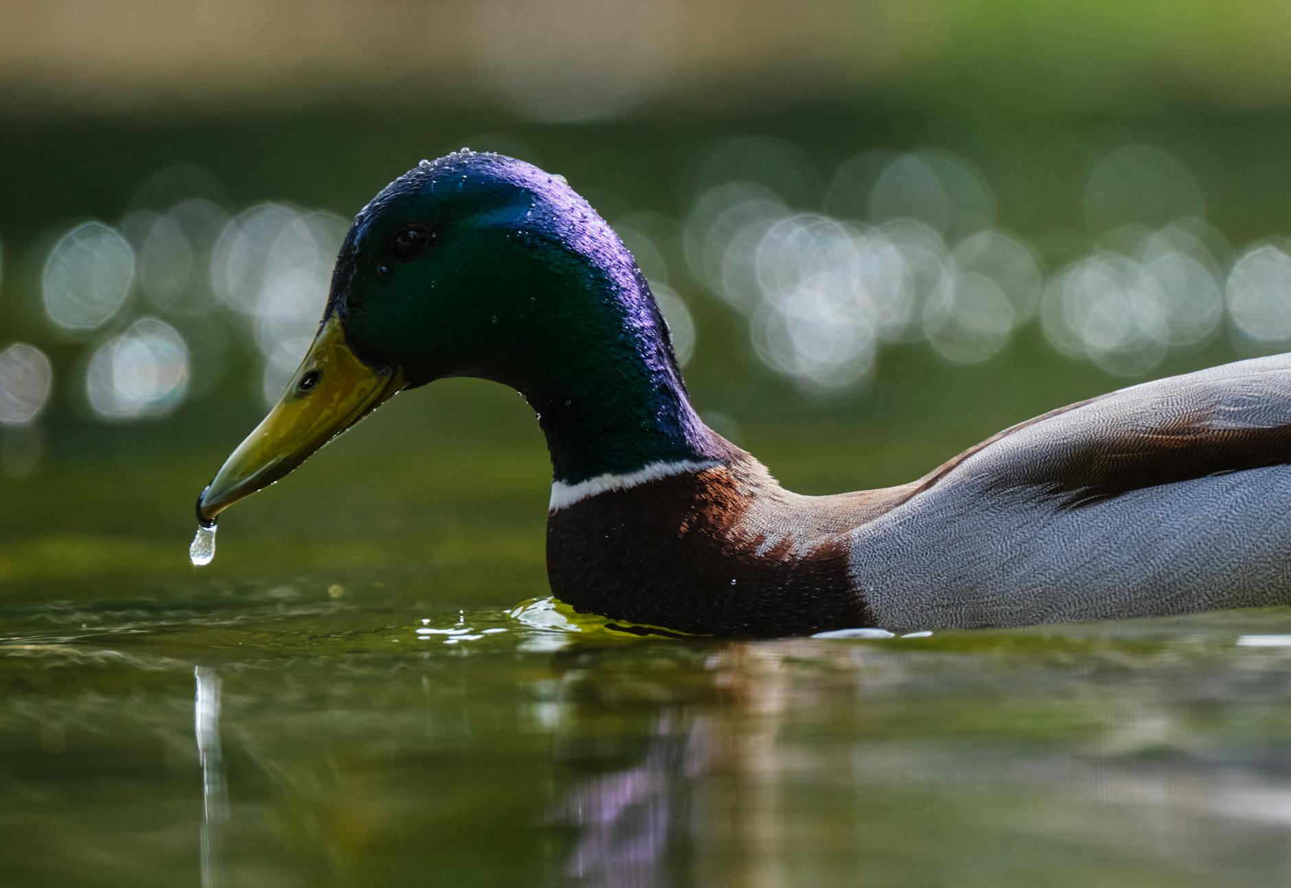 How Much Unclaimed Money is Actually Out There?