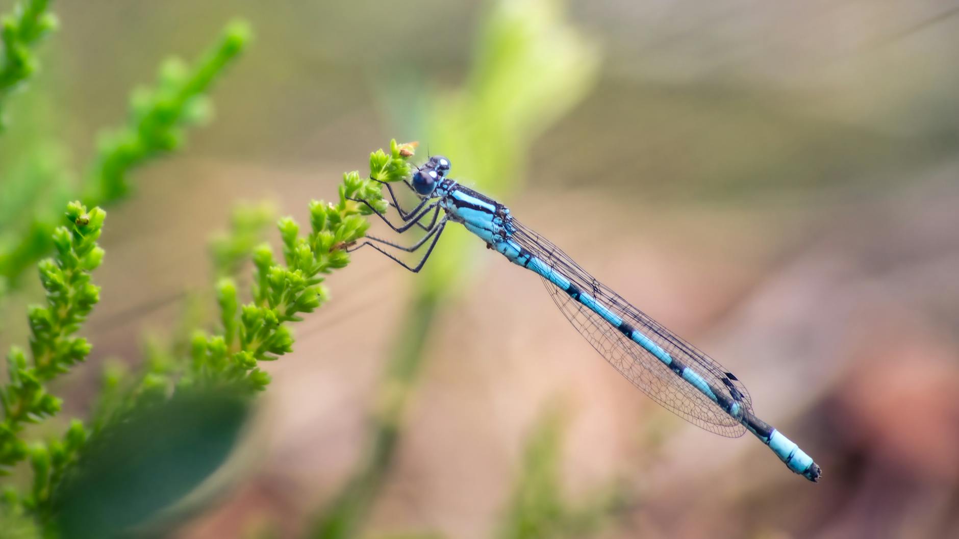 What Are the Most Common Types of Unclaimed Property?