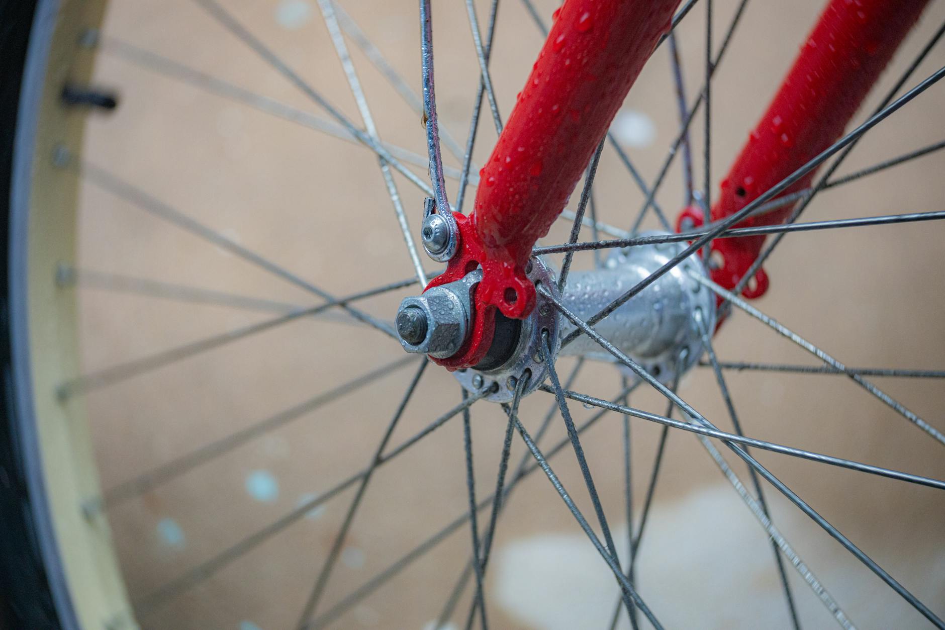 Why Does Each State Maintain Separate Unclaimed Property Records?