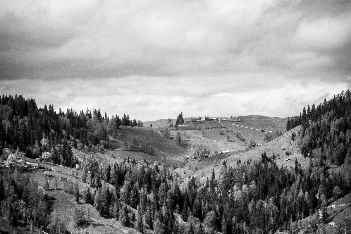 Common Issues When Recovering Billing Dispute Refunds