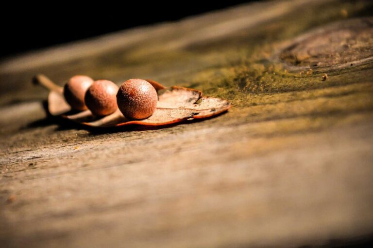 Millions Forget To Claim Money From Small Refund Balances - Featured image