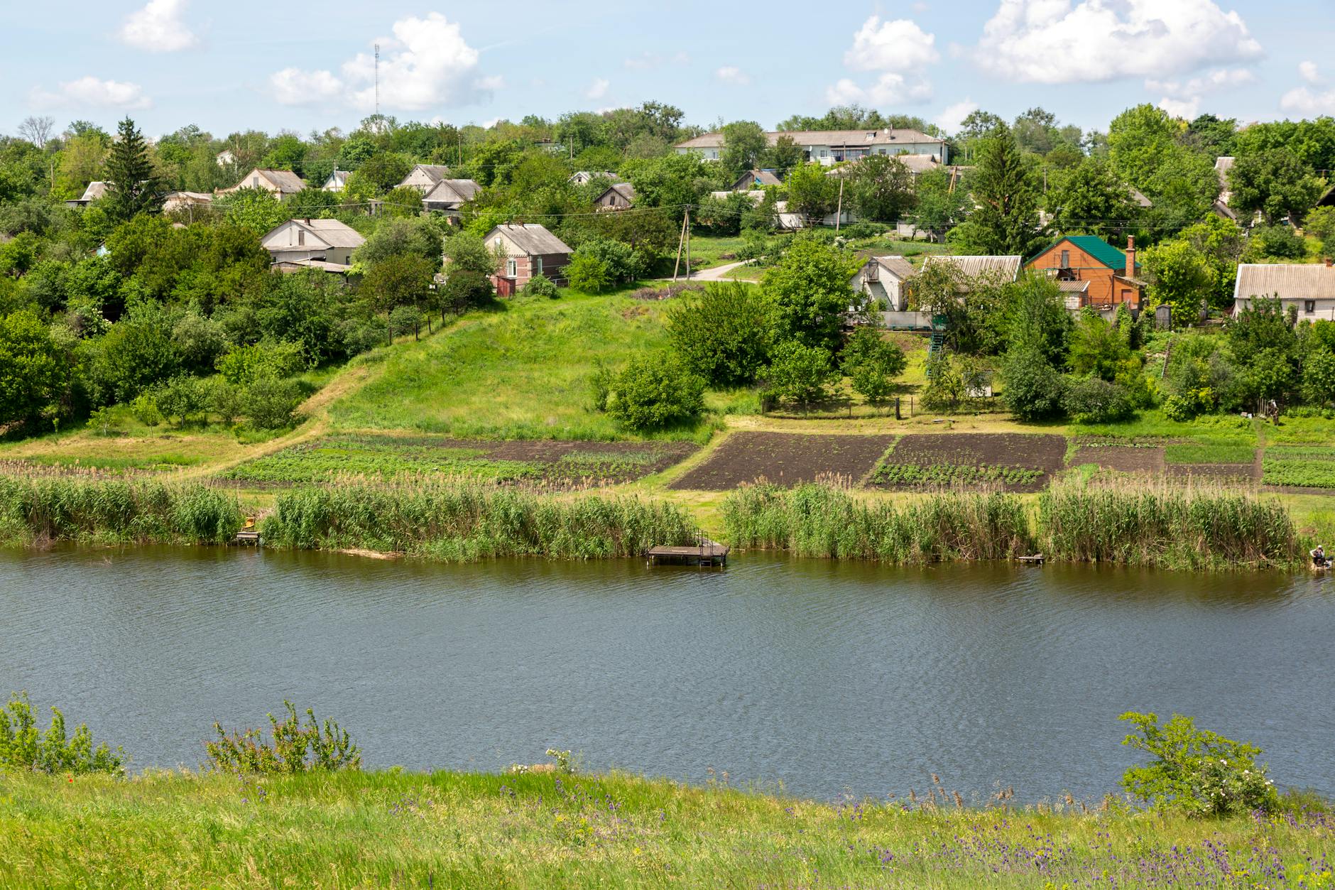 Real Settlement Examples with Active Deadlines and Payment Issues