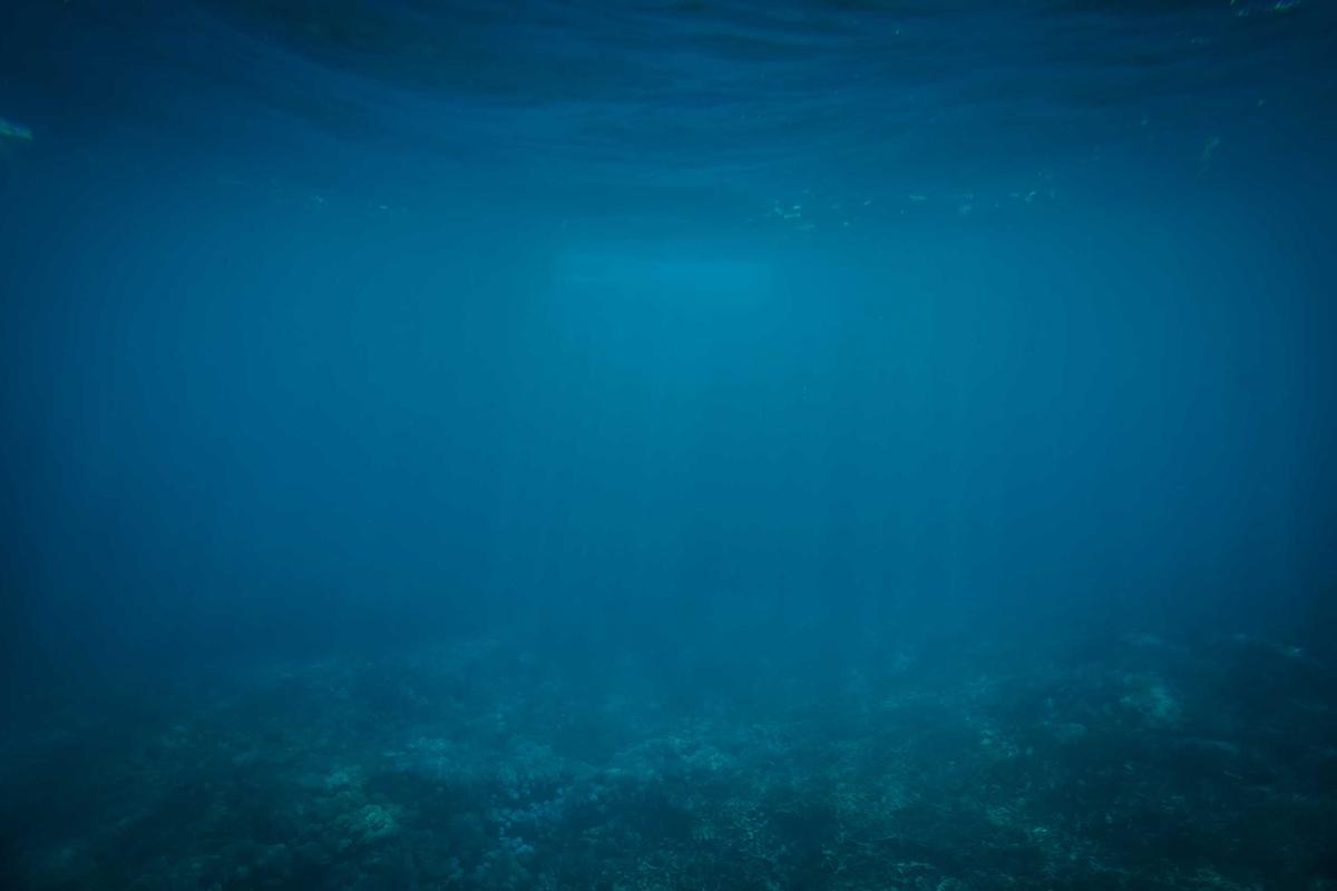 What Are Old Financial Corrections and Where Do They Come From?