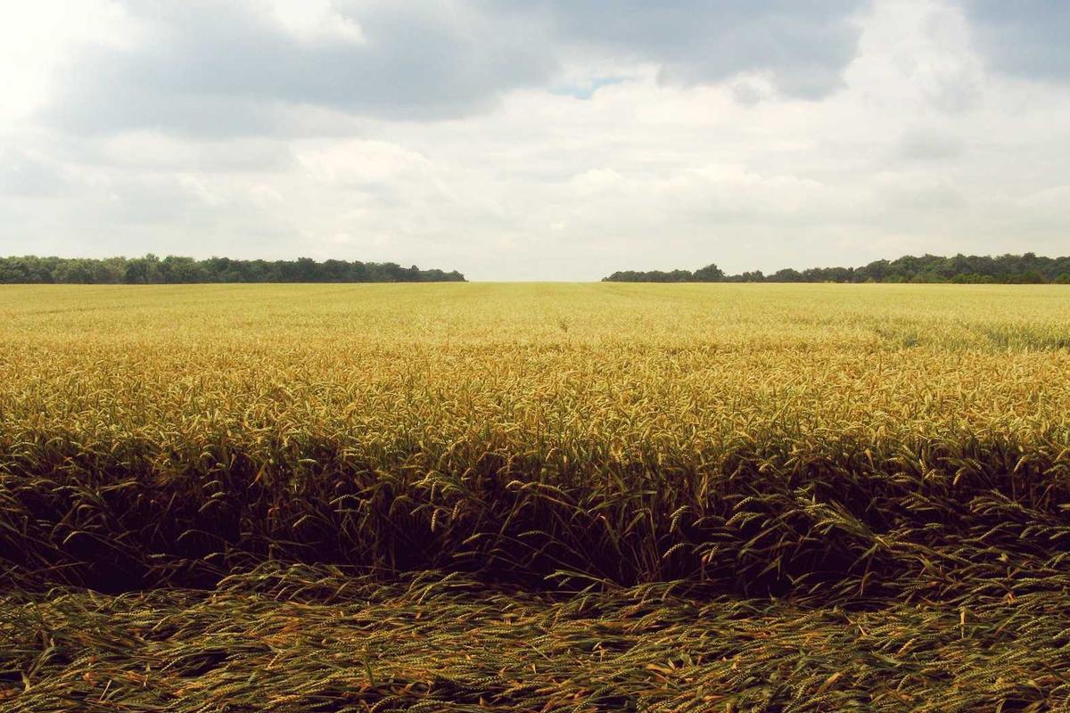 Common Pitfalls and Dangers When Reclaiming Abandoned Accounts