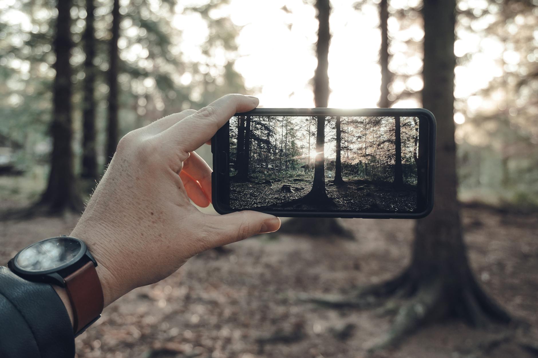 How Mobile-Friendly Are State Unclaimed Property Portals, Really?