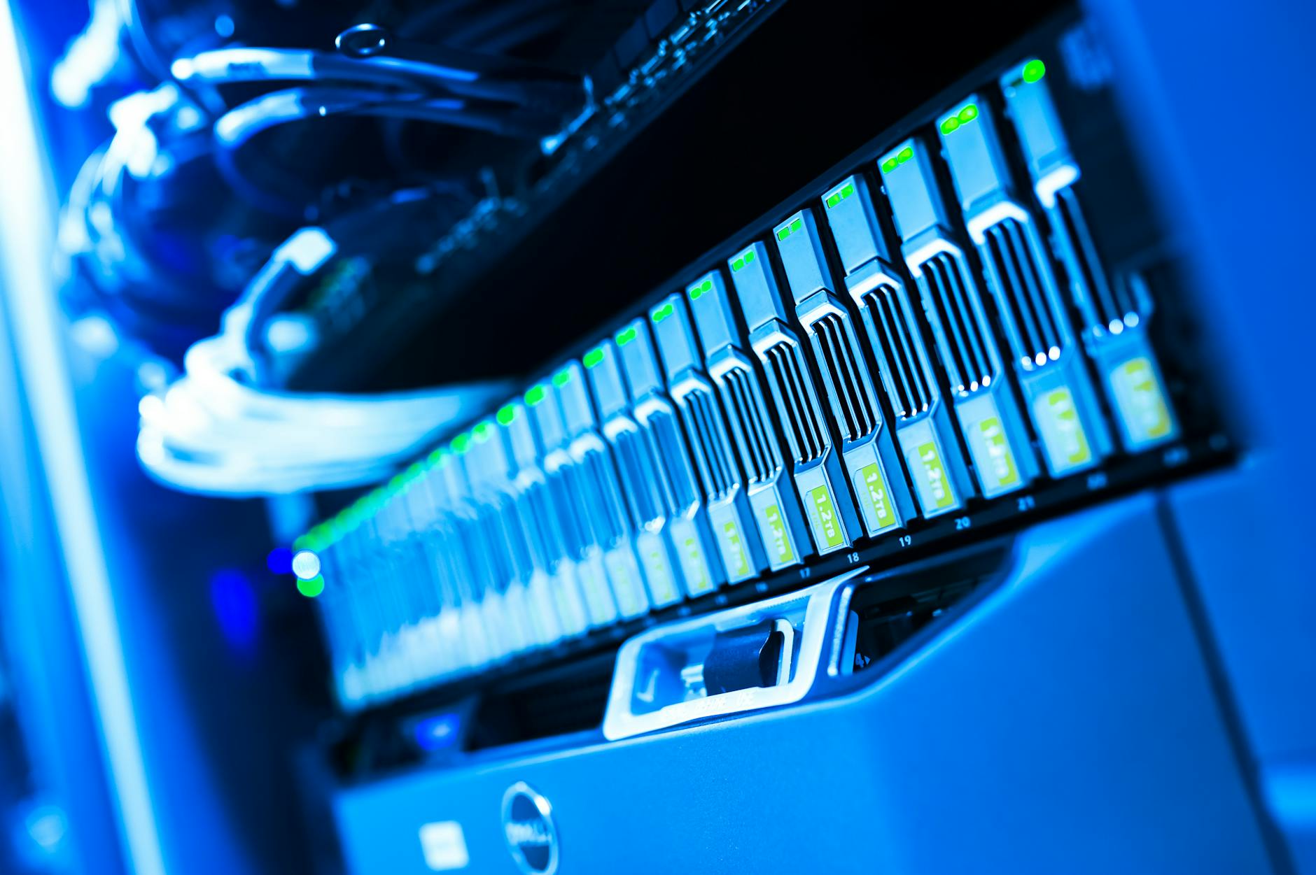 Official Databases and How They Keep Your Credit Safe