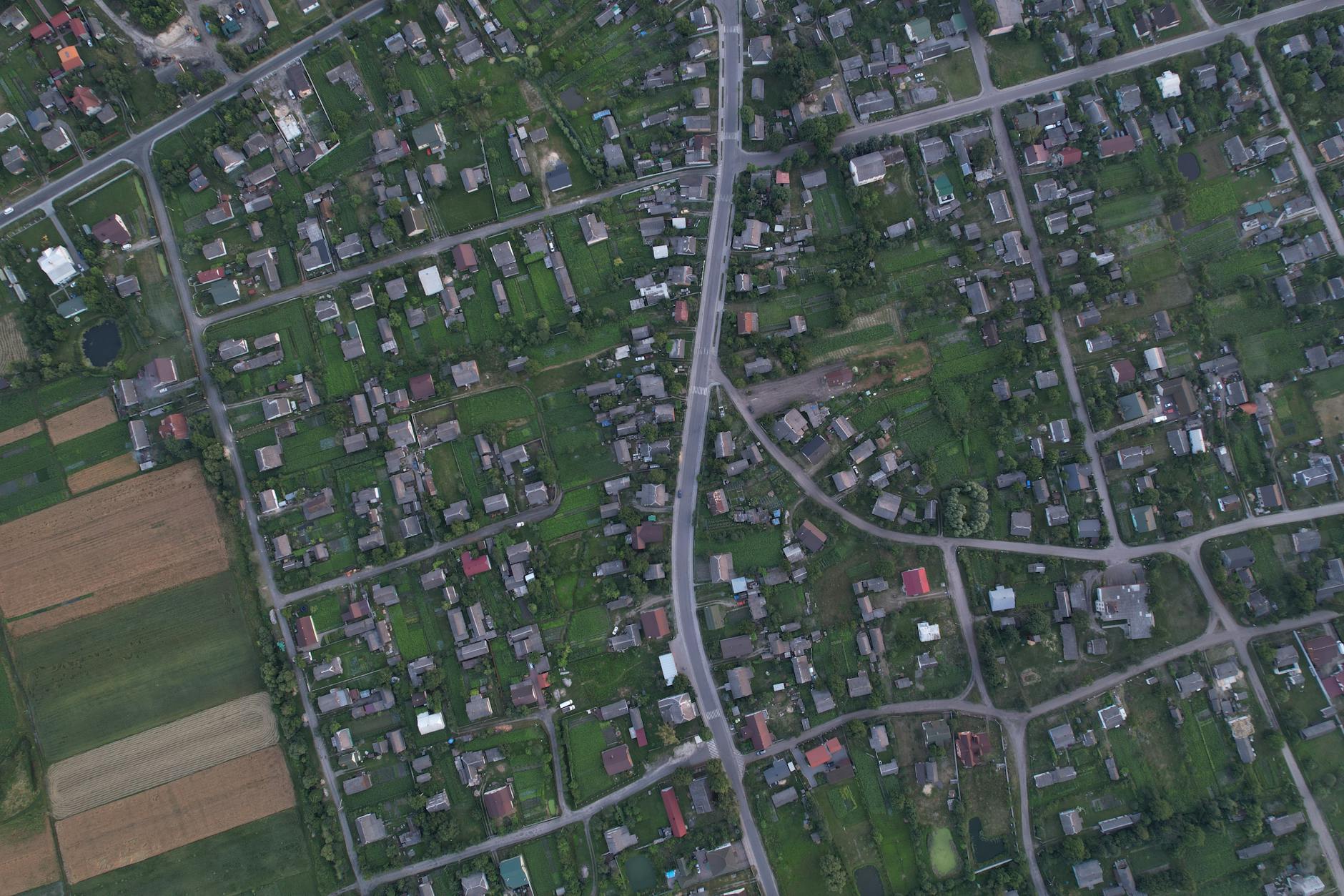 Real-World Examples: Settlement and MoneyGram Cases