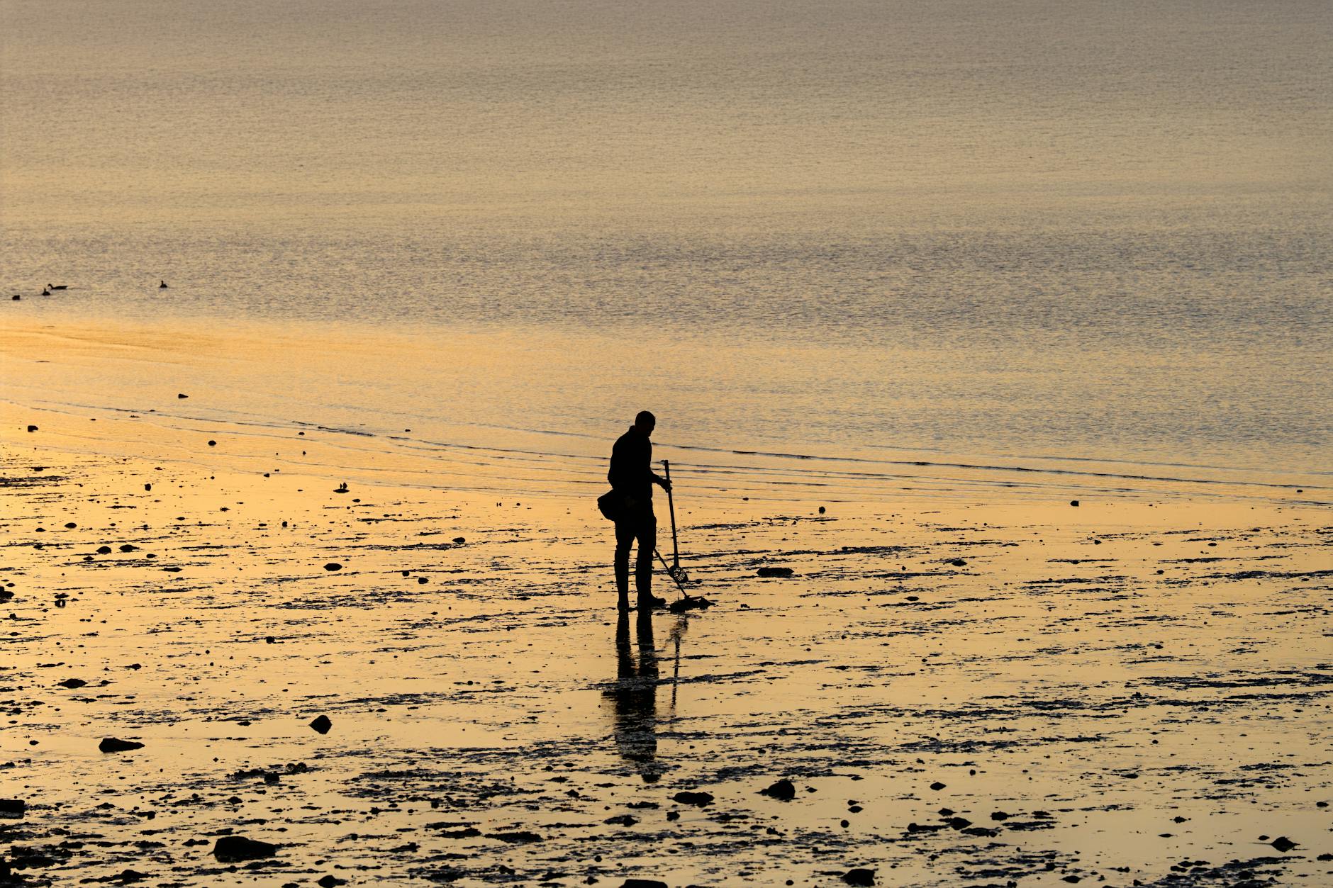 The Role of Probate Searches in Locating Unclaimed Funds