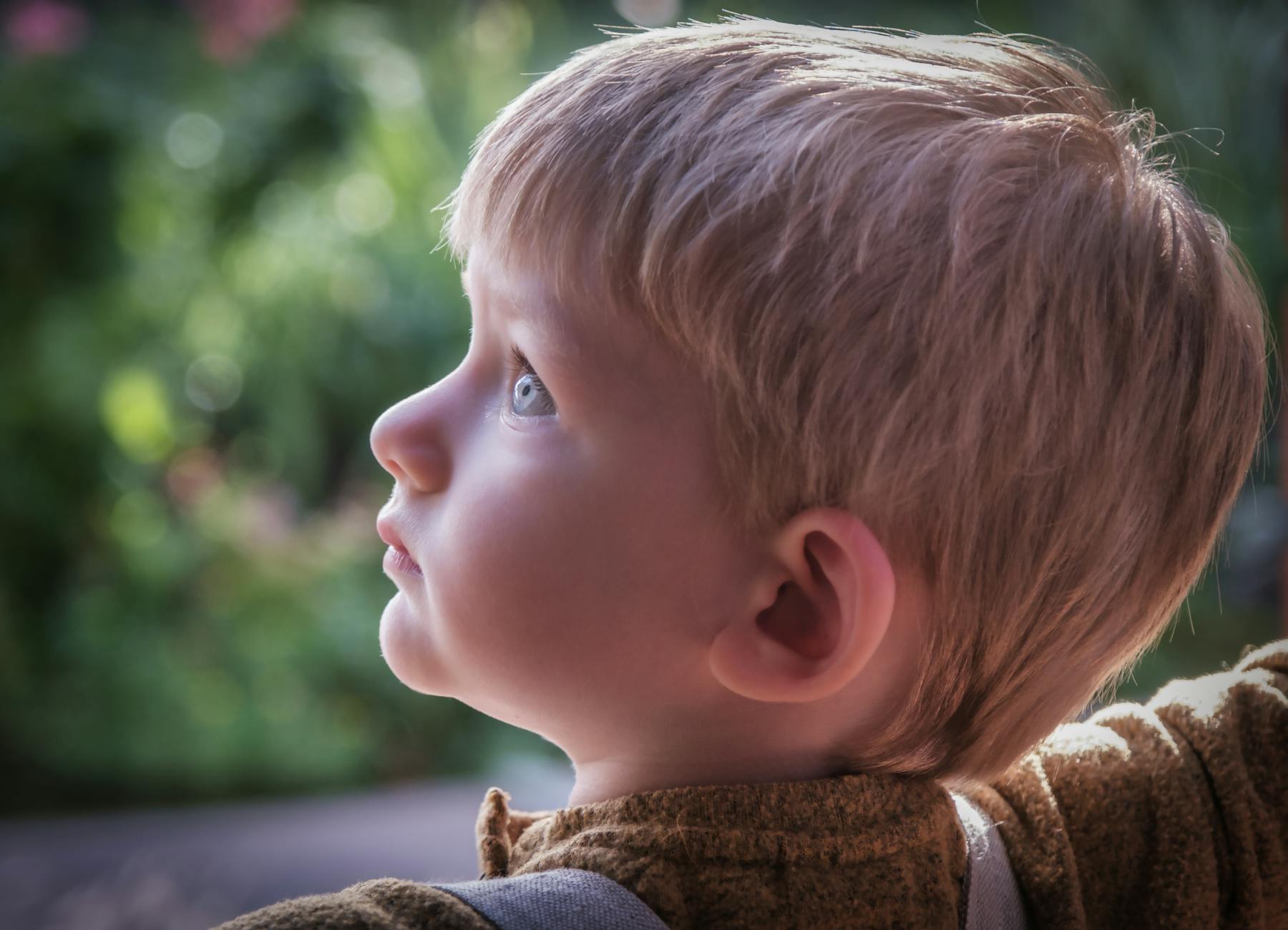 What Are Childhood Accounts and Why Do They Go Unclaimed?