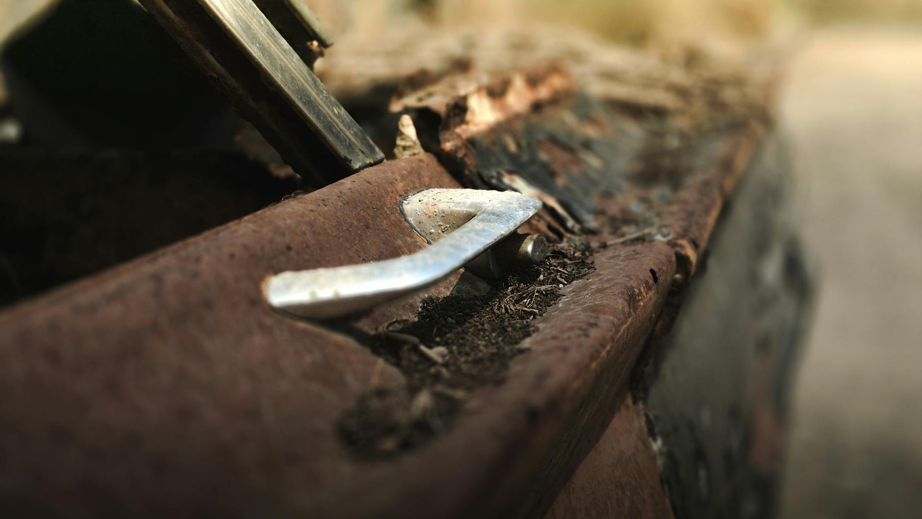 What Happens When Old Insurance Proceeds Go Unclaimed?