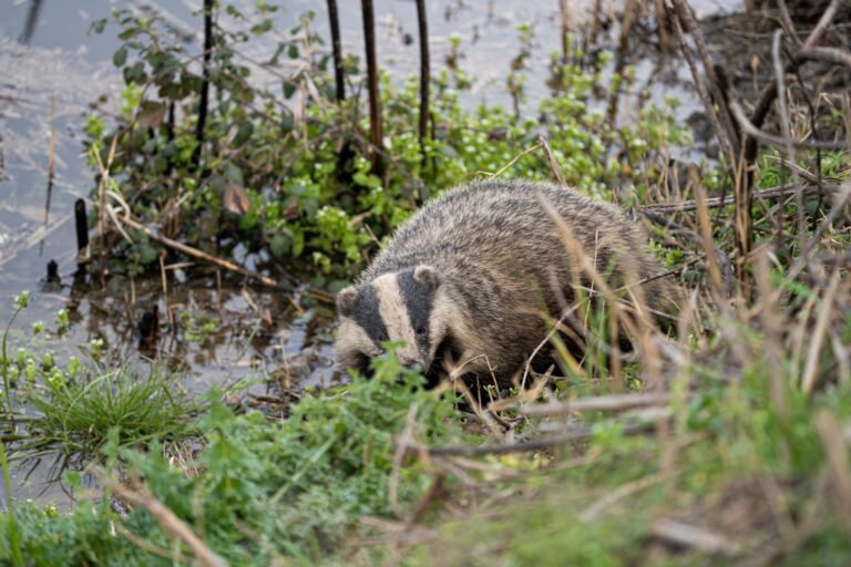 Badger Meter Investors: File Your BMI Class Action Claim by August 3 - Featured image