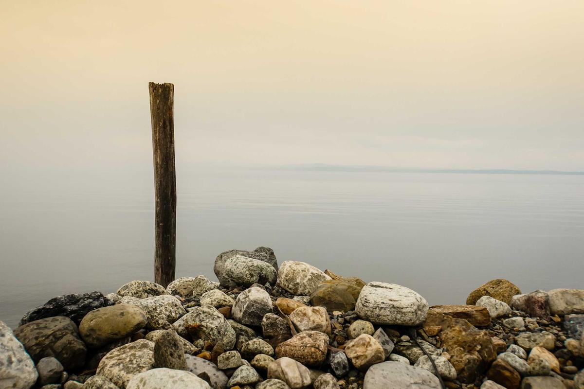 Common Pitfalls and Warnings When Claiming Unclaimed Business Property